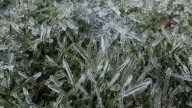 Clima en Neuquén: Miércoles con fuertes heladas, frío y viento