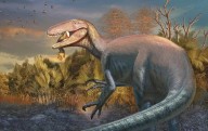 Científicos descubren dinosaurio en Argentina con poderosas garras
