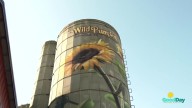 Business In Focus: The Wild Pumpkin