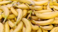 Los agricultores canarios ponen el grito en el cielo: "El plátano de Canarias está en alerta roja y..."