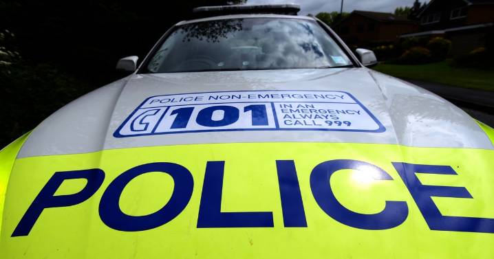 Arrest made after six people injured during bloody two dog rampage