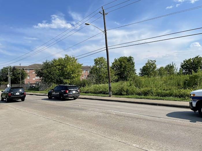 Skeletal remains found by homeless person in woods in SW Houston