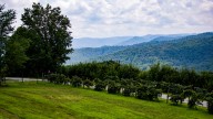 These fall destinations in NC are some of the best in…
