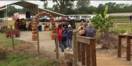 Enjoying the fall season at the Cottle Farms Funpark Fall Festival
