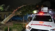 El Ministerio de Familia informó asistencia tras los destrozos del viento sur