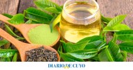 Vida sana: para qué sirve el té verde y sus beneficios para la salud