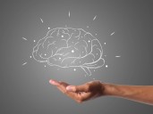 Dieta puede influir directamente en envejecimiento cerebral