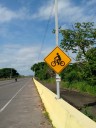 Proyecto de ciclovía espera el ejecútese de la Alcaldía de Caroní