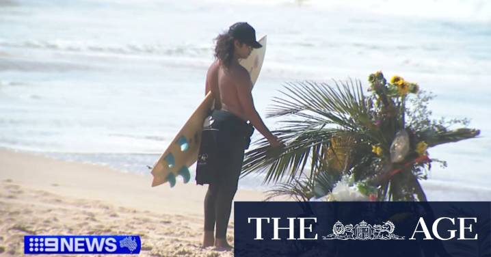Friends of shark attack victim return to the waters