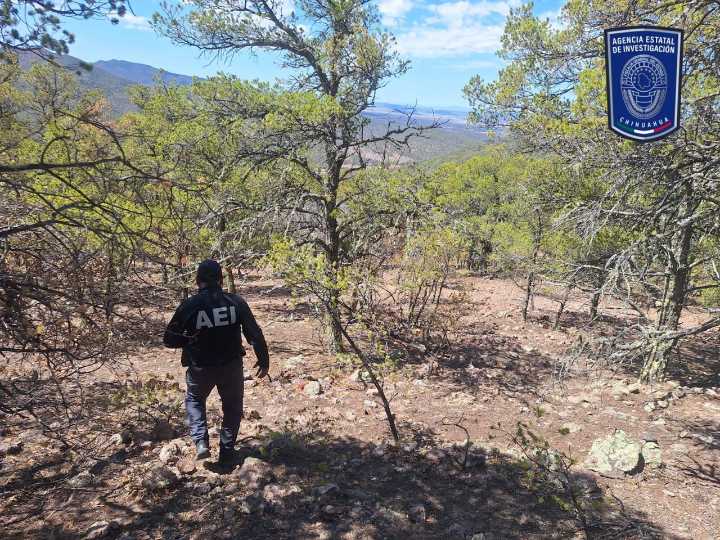 Identifican a dos cuerpos masculinos que fueron localizados en ‘El Willy’