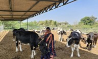 Abbott’s 'Project Ksheersagar:' Empowering Indian Dairy Farmers and Supporting the Local Milk Supply