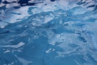Discover the Most Effective Aquatic Therapy Programs in Chicago Suburbs