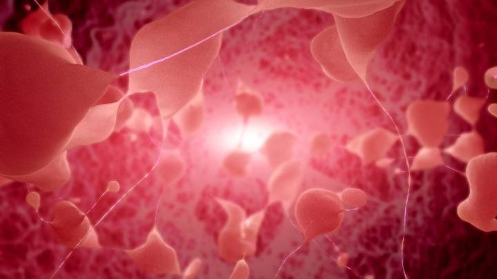 Huntington's disease successfully treated in 1st major breakthrough
