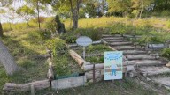 Beloved Toronto volunteer who built ‘Rudy’s Garden’ celebrates 100th birthday