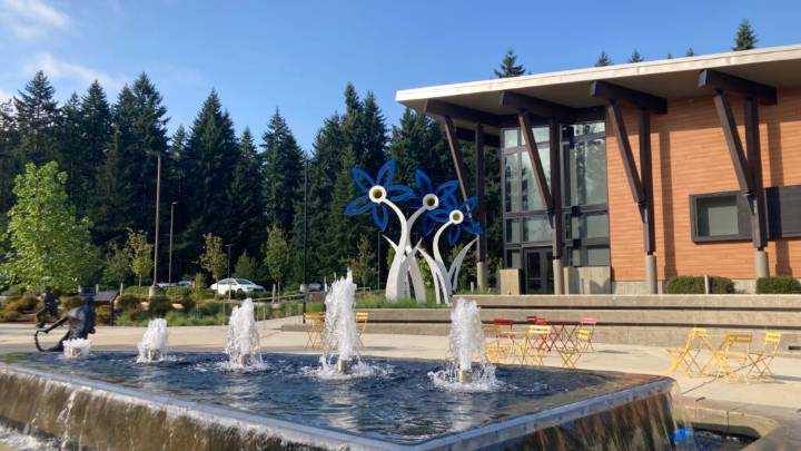 Reader view: Don’t try turning Mountlake Terrace into something it’s not