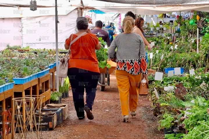 Invitan al segundo día de la Fiesta de las Flores 2025