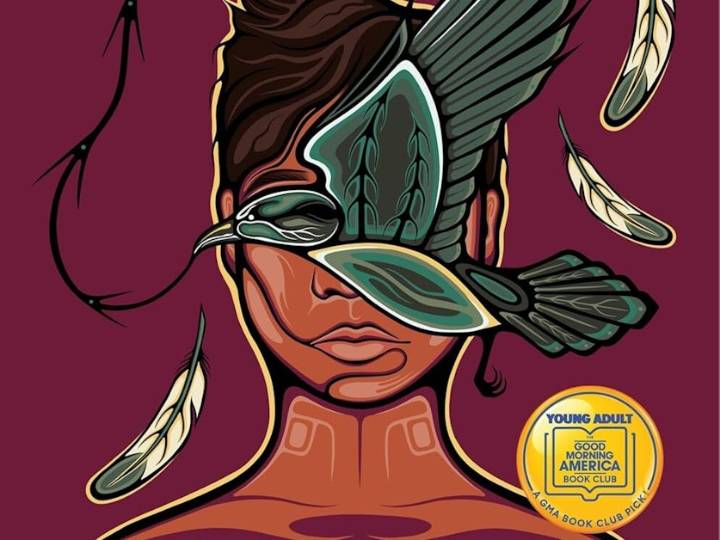 New teen thriller 'Sisters in the Wind' finds drama in hidden identities