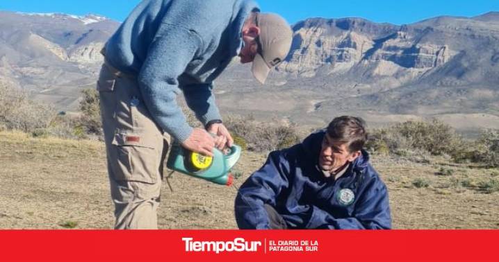 Suelo y clima Monitoreo de niveles freáticos en Lago Posadas, un trabajo articulado para el desarrollo productivo