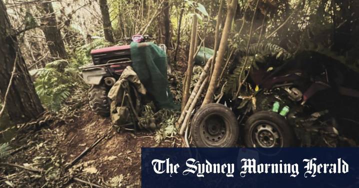 New Zealand fugitive: Police scour remote campsite to work out how Tom Phillips’ children survived