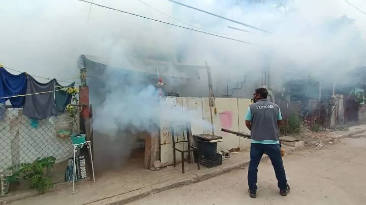 “Fumigaciones ineficaces” contra el mosquito en Tampico: advierten repunte de dengue