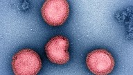 Key Facts About The Seasonal Flu Vaccine: What To Know As Winter Approaches
