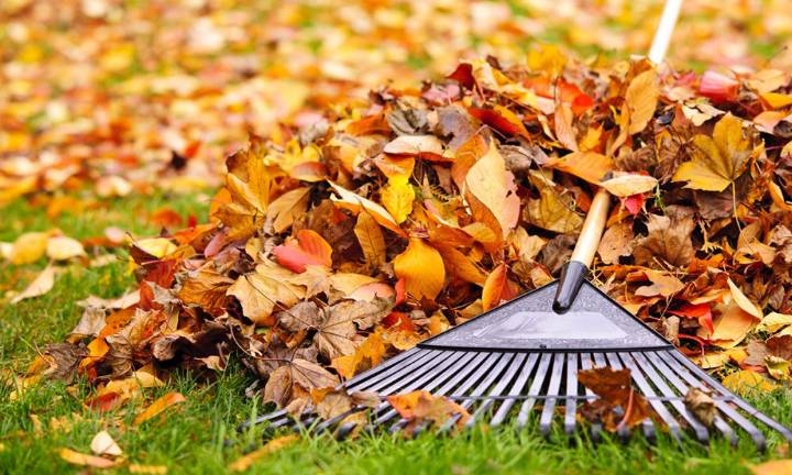 Embracing fall at home