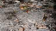 1 place in the UP got 7 inches of rain Tuesday. See the list of rain totals