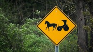 Mennonites React to Arrival of Amish in Manitoba