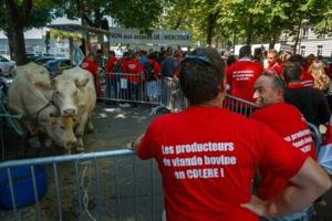 EU presents Mercosur deal for member states’ approval