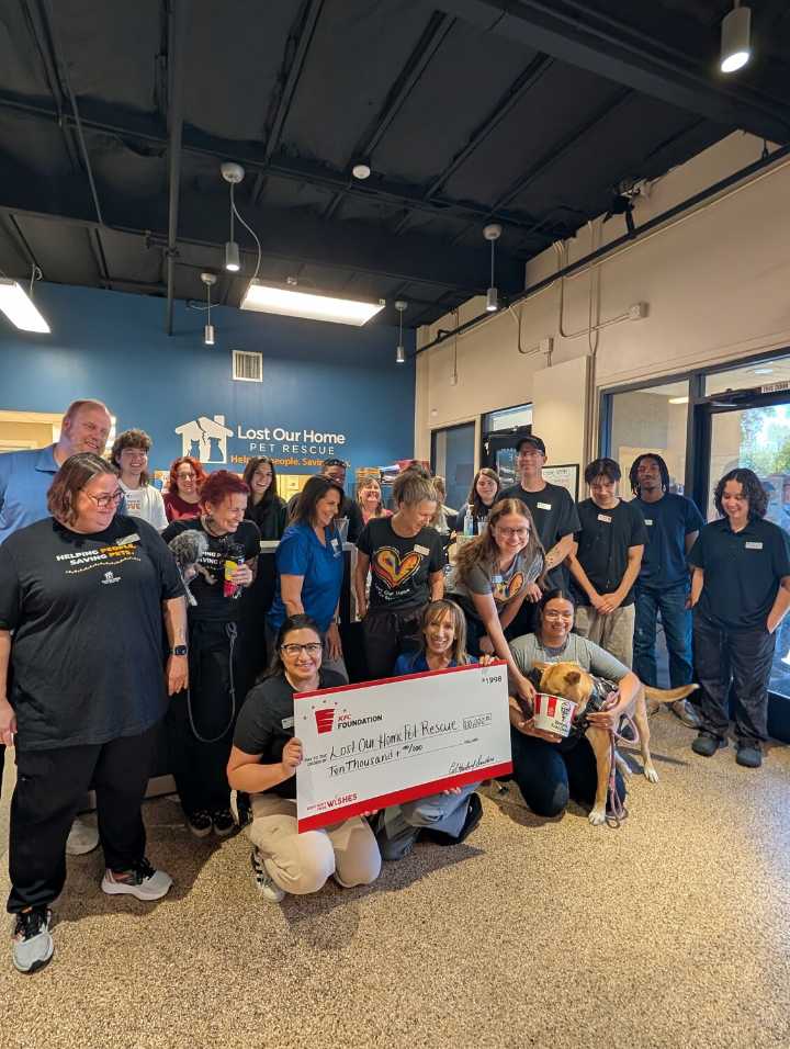 Tempe pet rescue receives $10K from KFC Foundation