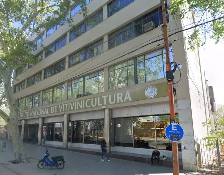 Revés judicial para el Gobierno: suspenden la norma que afectaba al Instituto Nacional de Vitivinicultura