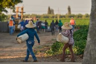 1.2M immigrants are gone from the US labor force under Trump, preliminary data shows