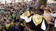 Los vinos de Arlanza cotizan al alza ante una vendimia de calidad