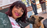 Aún en proceso, indagación contra Villagrán por presunto maltrato animal