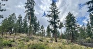 WA public lands commissioner wants $100 million boost for wildfire funding