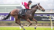 RACING 
                                          Comments
                                        
                                          Premium
                                        First-