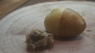 Montañas de patatas gratis en Francia: el desplome de precios amenaza también al campo español