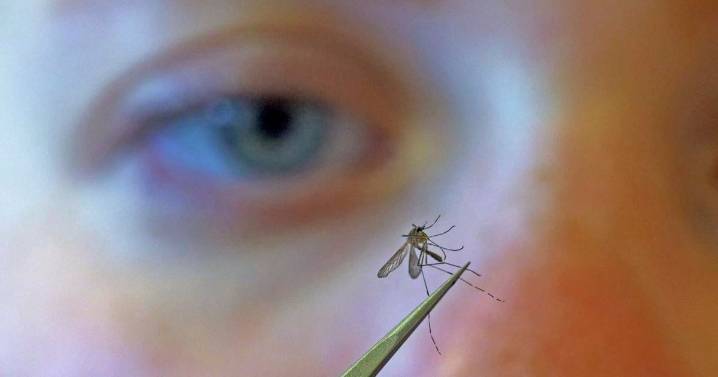 First West Nile death in Illinois for 2025 reported