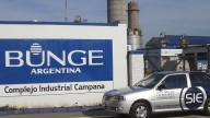Aceiteros denuncian a cerealeras de anticiparse a la quita de retenciones: “Algo sabían”