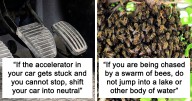 27 People Are Sharing Clever Tips That Could One Day Save Your Life