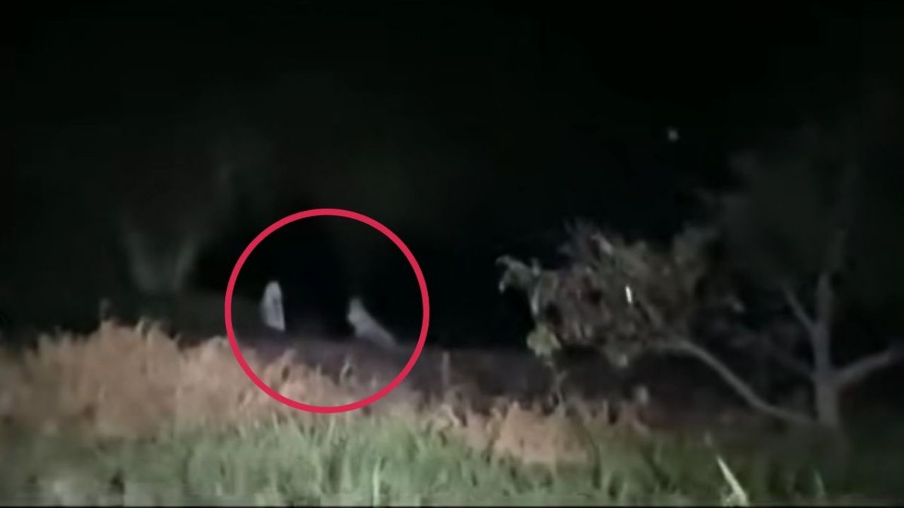 En la madrugada, logran grabar a dos niñas fantasmas jugando en medio del campo