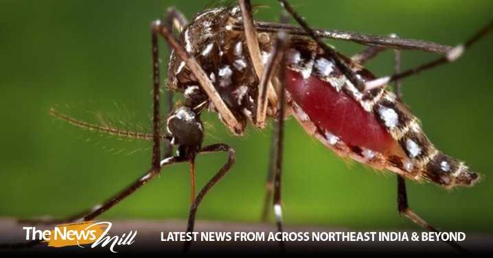 Pakistan reports 41 new cases of Dengue in Rawalpindi Hospitals