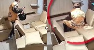 ¡Terror en Lince! Madre e hija se toparon con delincuente dentro de su casa Vecinas regresaban de botar la basura y hallaron a sujeto robando en plena sala. El ladrón las amenazó con cuchillo, pero fu