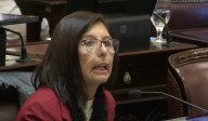 Milei «va en contra de las libertades» | Senadora salteña dijo que hay que detener la destrucción del presidente