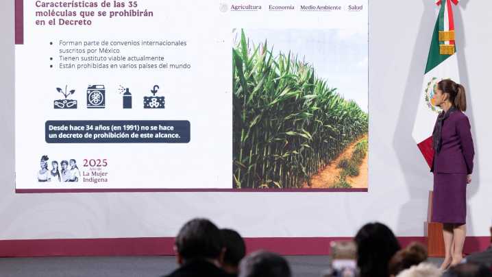 Nuevos Plaguicidas Prohibidos en México: Gobierno Revela Lista y Motivos
