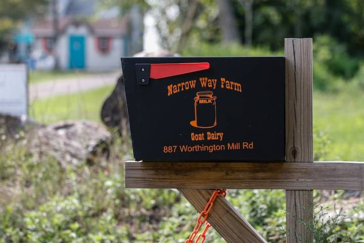 Bucks County farm owner who fled country to face animal cruelty charges after being captured in Belize