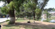 Huánuco: rechazan intervención de fierro y cemento en espacio de biodiversidad