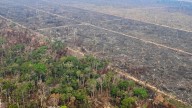 Minería ilegal y grupos armados son la principal amenaza para la selva amazónica