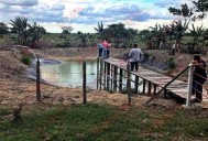 Falta de ‘lluvias prolongadas’ golpea al campo en José María Morelos