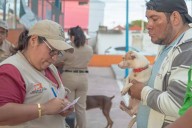 Vacunación antirrábica gratuita en Campeche este viernes: Consulta sedes y horarios